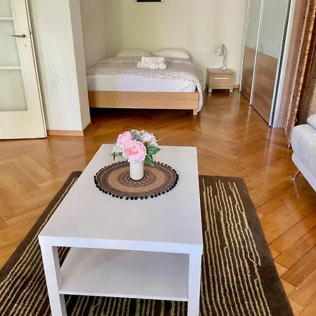 Apartment 9 Minutes From Train Statio Lausanne